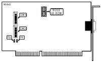 THOMAS-CONRAD CORPORATION &nbsp; TC4043 TROPIC